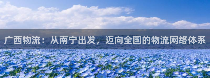 狗子28p扣款什么意思：广西物流：从