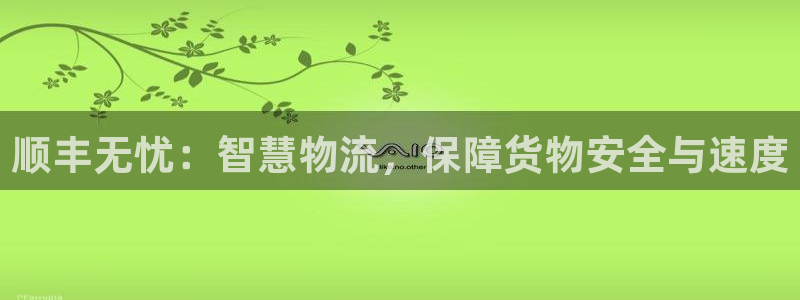 狗子28加拿大走势：顺丰无忧：智慧物