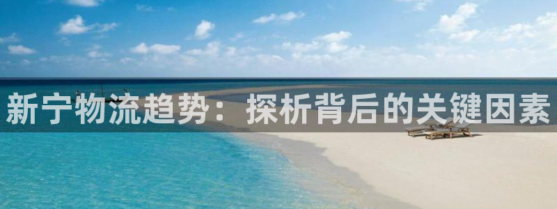 麻将1狗子28：新宁物流趋势：探析背