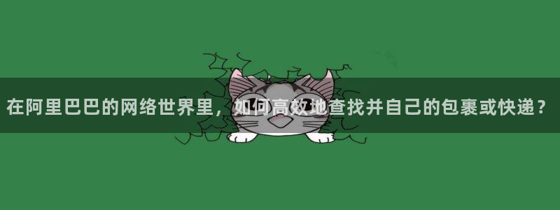 狗子28官方网站预测：在阿里巴巴的网