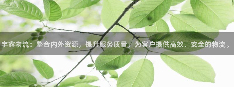 狗子28南宫娱乐官网：宇鑫物流：整合