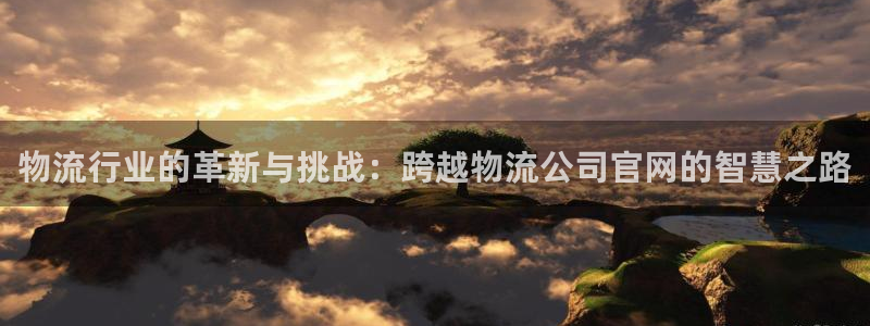 狗子28黑款：物流行业的革新与挑战：