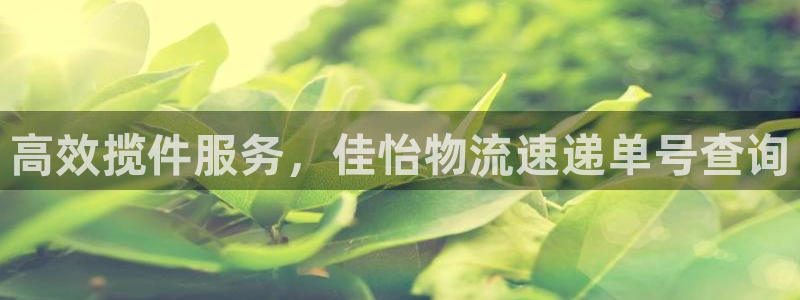 狗子28反水什么时候到：高效揽件服务，佳怡物流速递单号查询