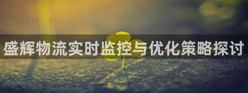 狗子28注册登录链接：盛辉物流实时监