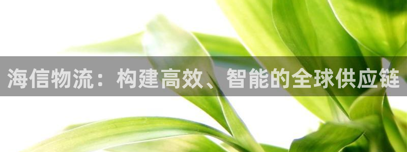 狗子28注册链接：海信物流：构建高效