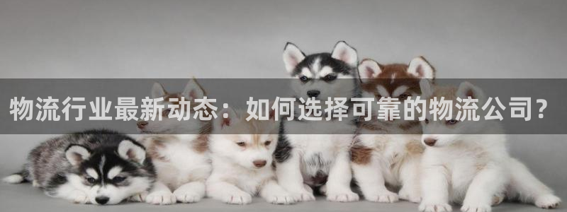 狗子28pc预测：物流行业最新动态：