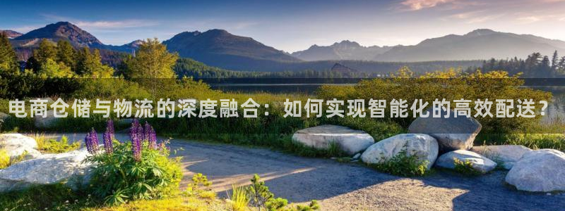 狗子28官网入口pc29官网版：电商