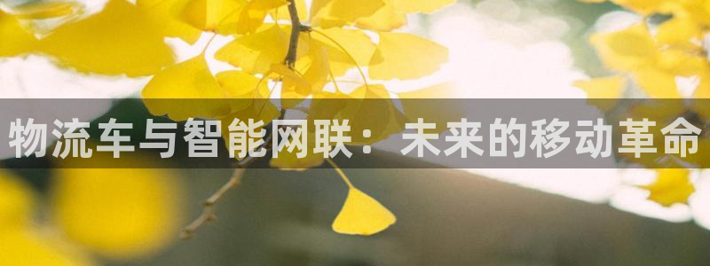 狗子28预测网：物流车与智能网联：未