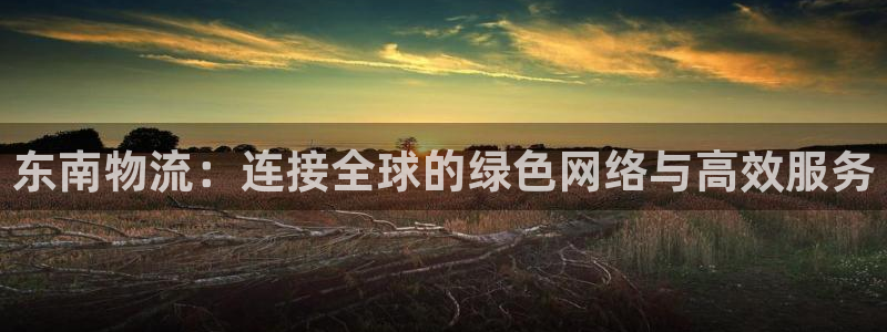 狗子28充值为什么充不了：东南物流：