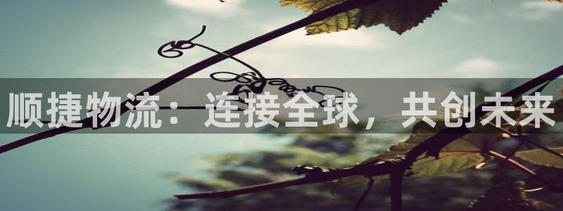 狗子28预测：顺捷物流：连接全球，共