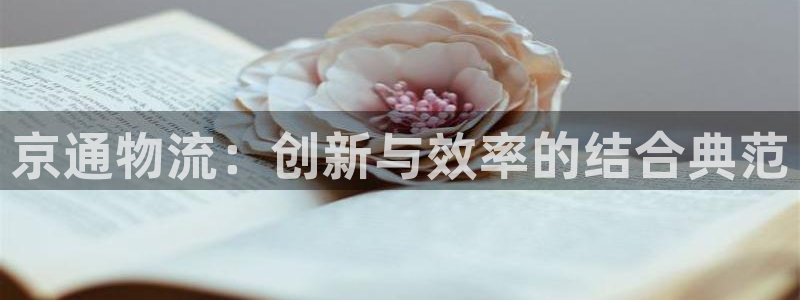 加拿大狗子28数字规则：京通物流：创