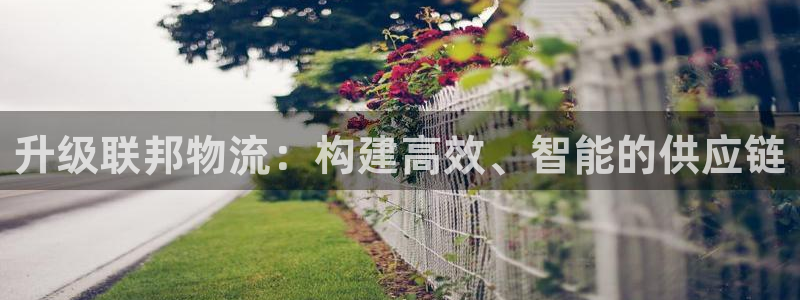 狗子28：升级联邦物流：构建高效、智