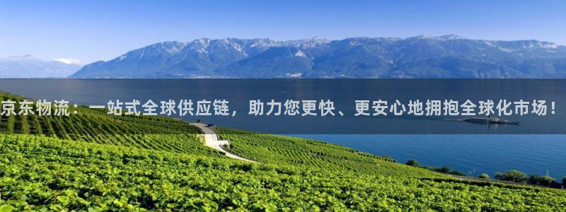 狗子28能不能退：京东物流：一站式全