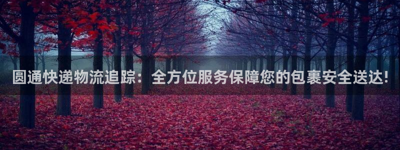 狗子28链接多少：圆通快递物流追踪：