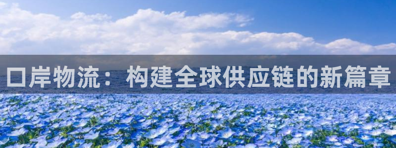 狗子28的自行车：口岸物流：构建全球供应链的新篇章