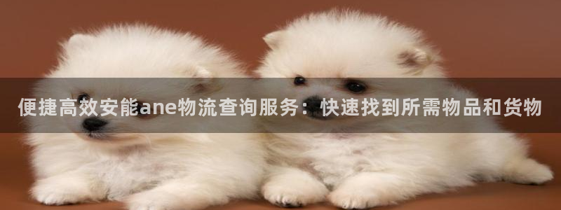 南宫狗子28官网：便捷高效安能ane物流查询服务：快速找到所
