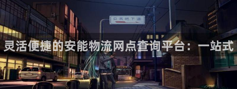 狗子28如何看计划：灵活便捷的安能物