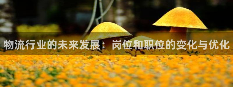 狗子28加拿大真假怎么看：物流行业的