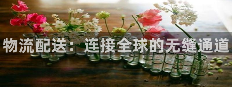 狗子28口：物流配送：连接全球的无缝通道