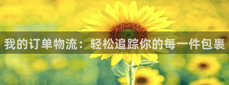 狗子28注册网址百度知道:我的订单物