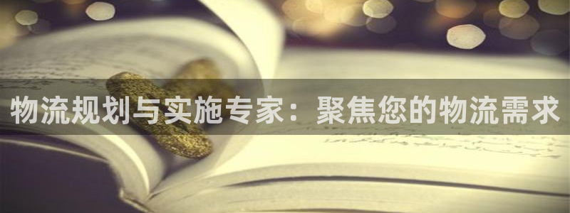 狗子28app能退款吗：物流规划与实