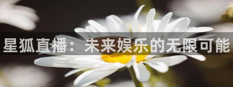 咪咕体育乒乓球直播在线观看