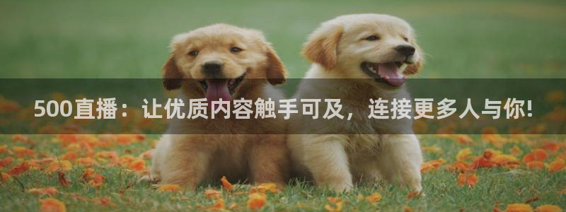 咪咕视频体育直播龙门