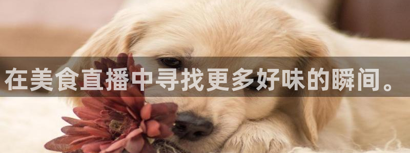 免费看咪咕直播