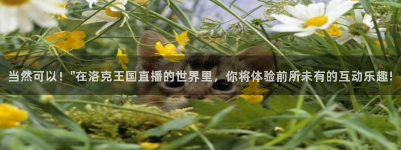 咪咕免费体育直播：当然可以！\