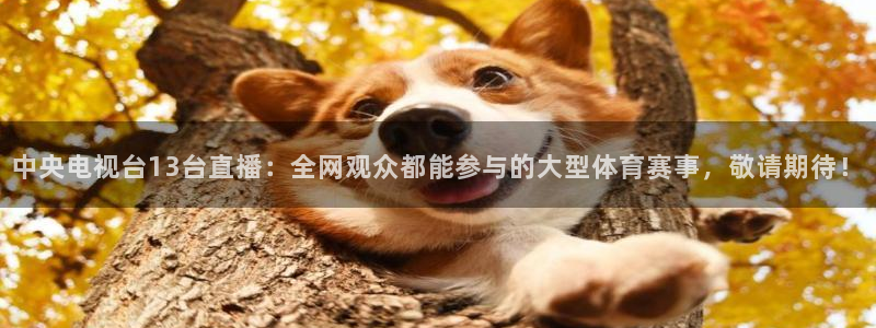 咪咕足球直播免费观看：中央电视台13台直播：全网观众都能参与的大型体育赛事，敬请期待！