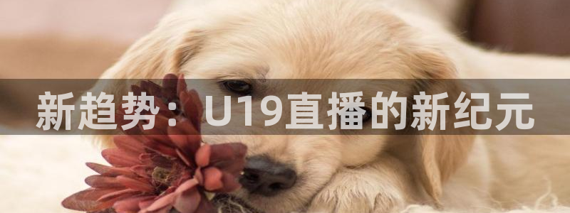 咪咕视频体育直播免费观看：新趋势：U19直播的新纪元