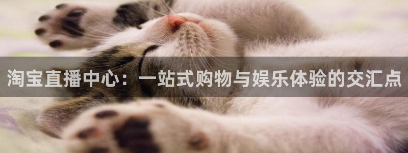 咪咕体育直播在线看：淘宝直播中心：一站式购物与娱乐体验的交汇点
